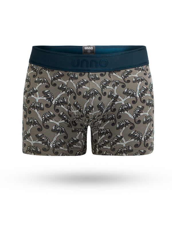 Boxer Camaleon