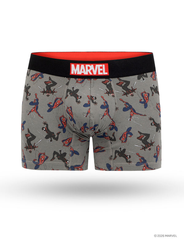 Boxer Marvel Jump