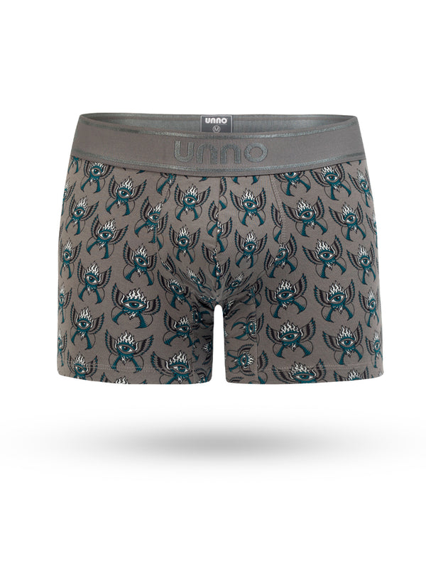 Boxer Visión