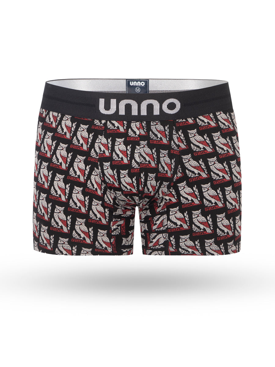 Boxer Buho - Gallery 1