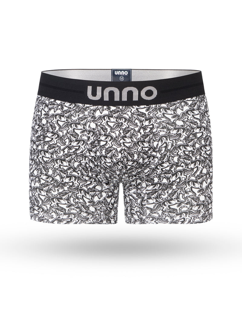 Boxer Caballo