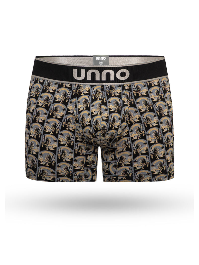 Boxer Desierto