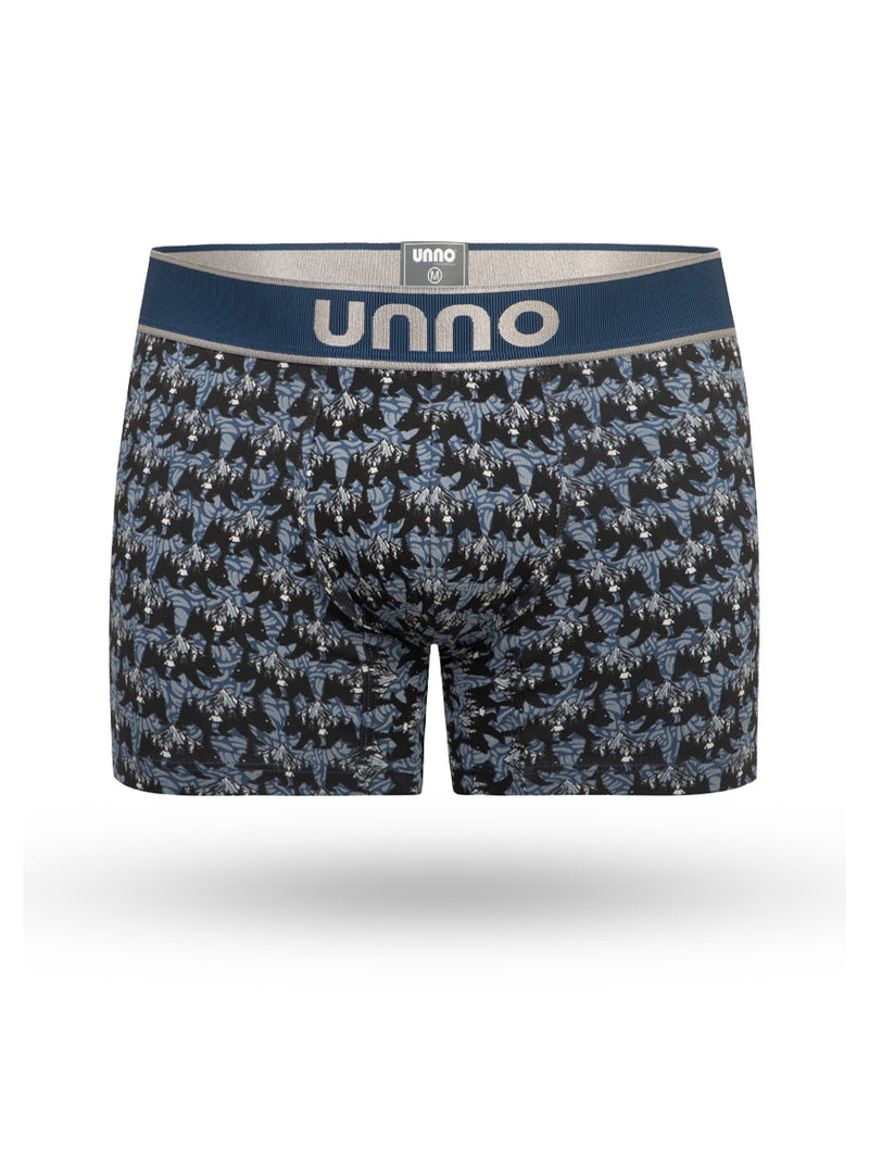 Boxer Silvestre