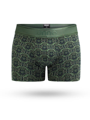 Boxer Jaguar