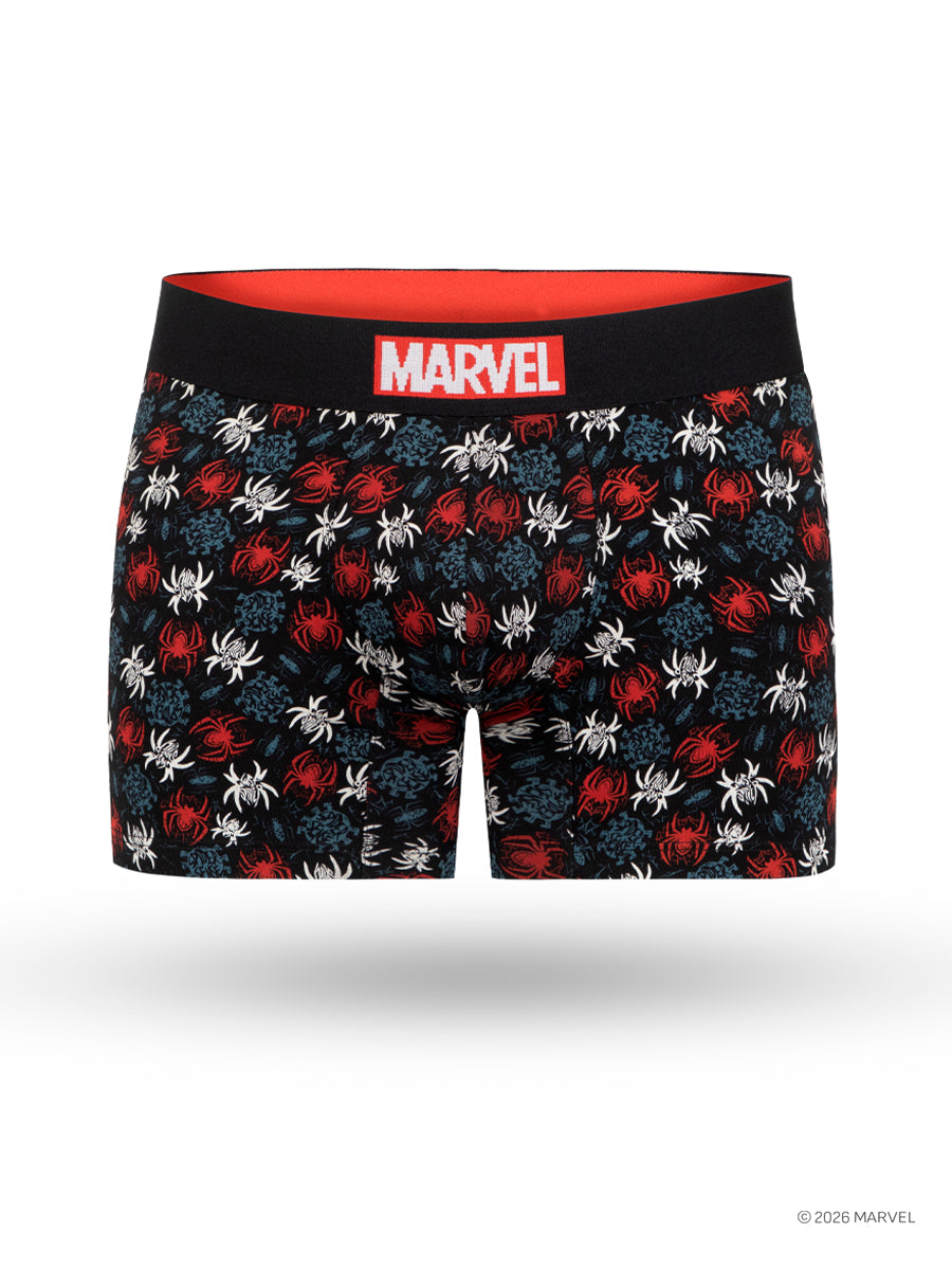 Boxer Marvel Spider - Gallery 1