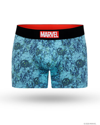 Boxer Marvel Team