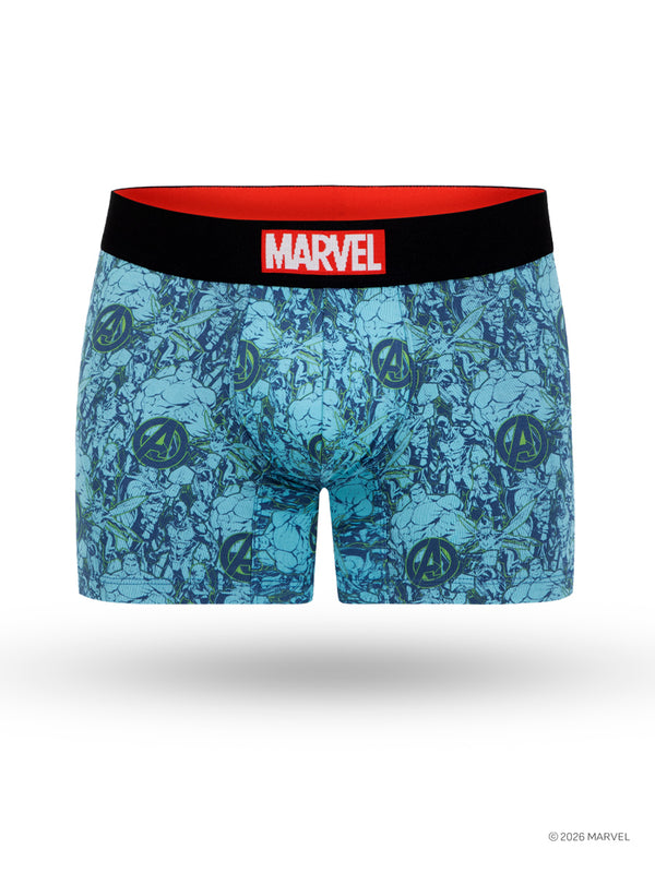 Boxer Marvel Team